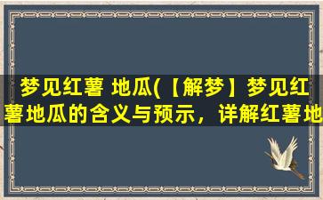 梦见红薯 地瓜(【解梦】梦见红薯地瓜的含义与预示，详解红薯地瓜在梦境中的神秘象征)